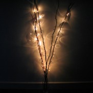 Twig Lights